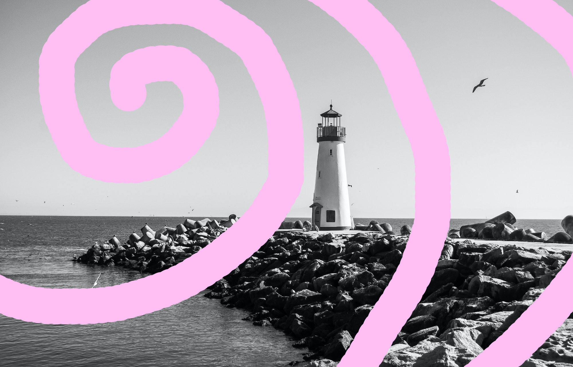 The End of the 5 Day Branding Challenge