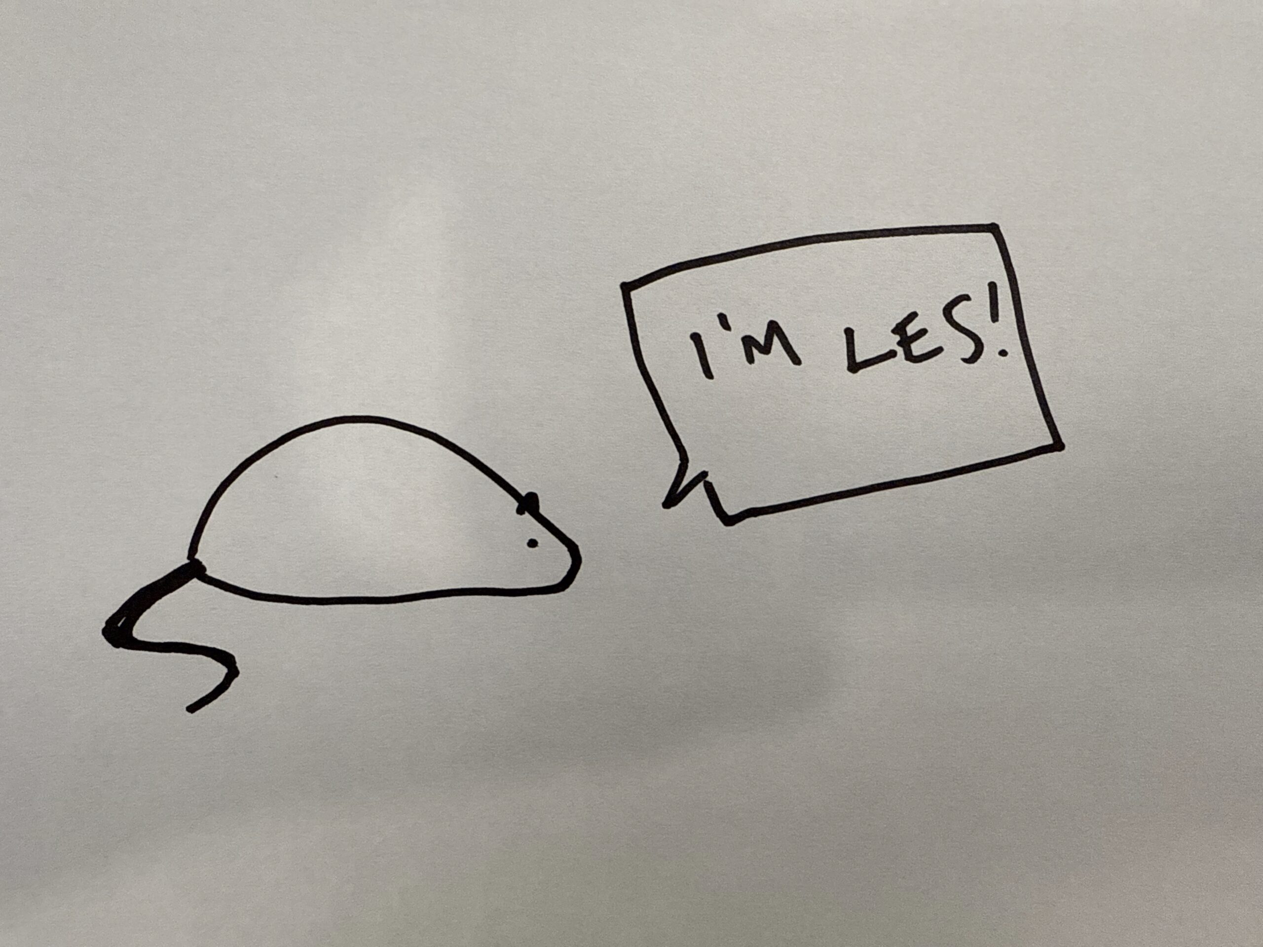 Website: less is more